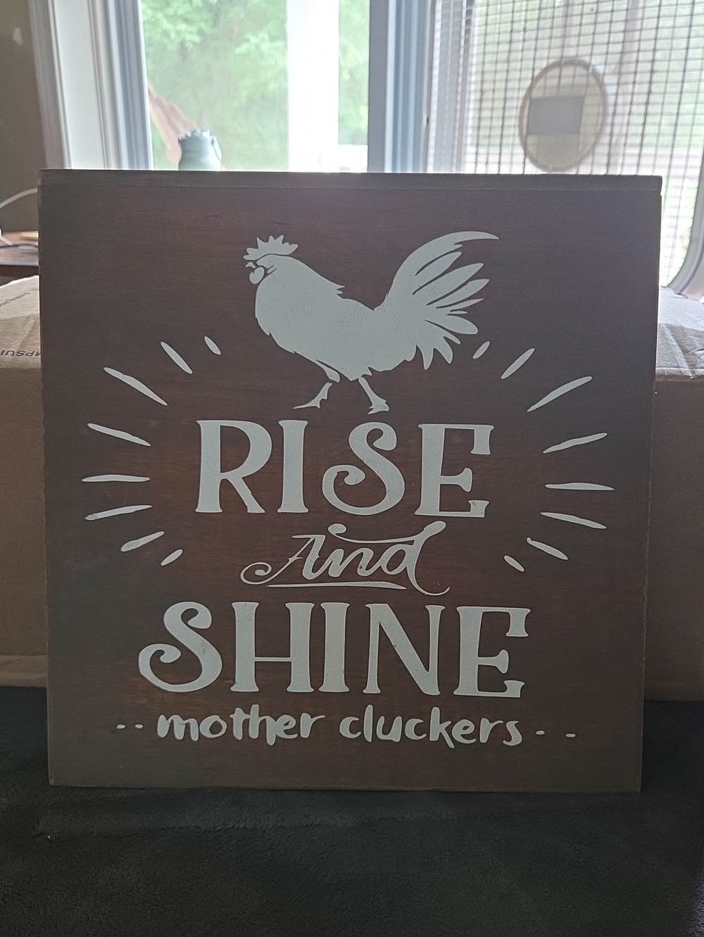 Wooden 'Rise and Shine' Wall Sign - White on Brown